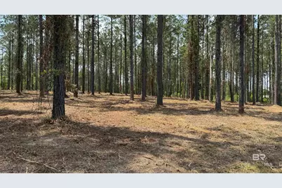 0 Ronald Sanks Road, Bay Minette, AL 36507 - Photo 21