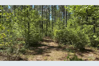 0 Ronald Sanks Road, Bay Minette, AL 36507 - Photo 7