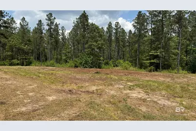 0 Ronald Sanks Road, Bay Minette, AL 36507 - Photo 19