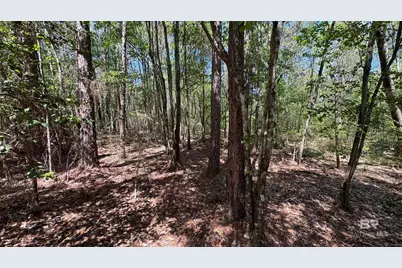 0 Ronald Sanks Road, Bay Minette, AL 36507 - Photo 9