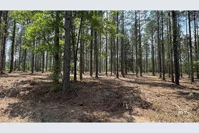 0 Ronald Sanks Road, Bay Minette, AL 36507 - Photo 11