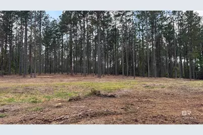 0 Ronald Sanks Road, Bay Minette, AL 36507 - Photo 17