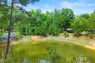 11861 W Bay Rd, Foley, AL 36535 - Photo 67