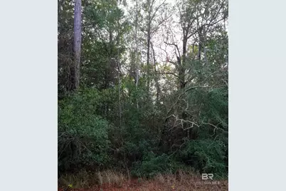 290?? US Highway 98, Elberta, AL 36530 - Photo 1