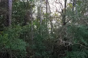 00 US Hwy 98, Elberta, AL 36530 - Photo 1