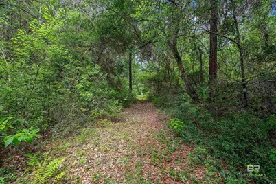 9712 Wills Lane, Lillian, AL 36549 - Photo 33