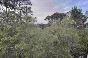 8941 Bonita Ln, Gulf Shores, AL 36542 - Photo 21