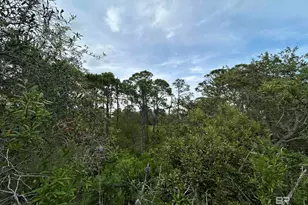 8941 Bonita Ln, Gulf Shores, AL 36542 - Photo 25