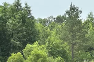 0 E County Road 54, Daphne, AL 36526 - Photo 1