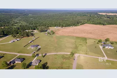 0 Lanier Lane, Chunchula, AL 36521 - Photo 7
