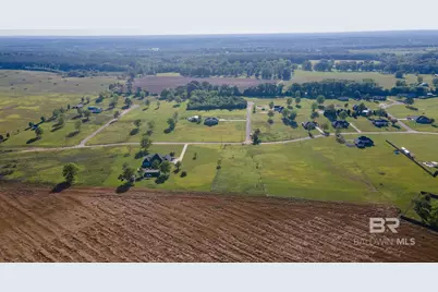 0 Lanier Lane, Chunchula, AL 36521 - Photo 3