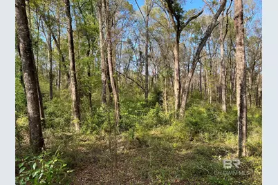 0 Stanton Road, Daphne, AL 36526 - Photo 11