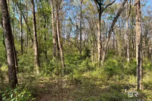0 Stanton Rd, Daphne, AL 36526 - Photo 11