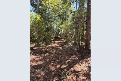 0 Woodland Drive, Elberta, AL 36530 - Photo 1