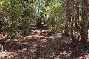 0 Woodland Dr, Elberta, AL 36530 - Photo 1