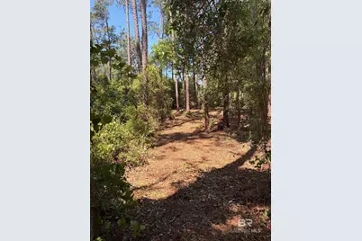 0 Woodland Drive, Elberta, AL 36530 - Photo 5