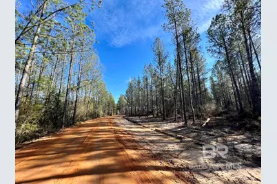 0 County Road 64, Robertsdale, AL 36507 - Photo 5
