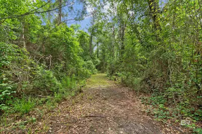 24928 County Road 71, Robertsdale, AL 36567 - Photo 45
