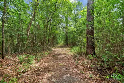 24928 County Road 71, Robertsdale, AL 36567 - Photo 47