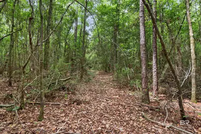 24928 County Road 71, Robertsdale, AL 36567 - Photo 41