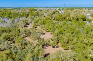 00 County Road 99, Lillian, AL 36549 - Photo 13