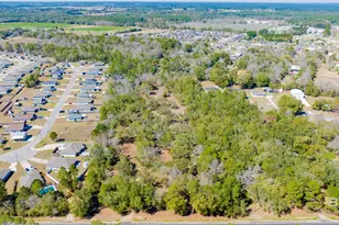 00 County Road 99, Lillian, AL 36549 - Photo 11