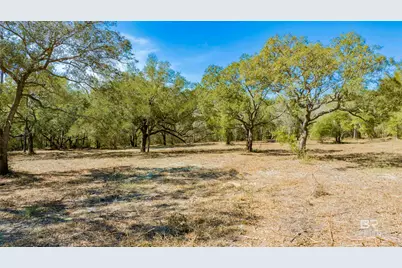 00 County Road 99, Lillian, AL 36549 - Photo 13