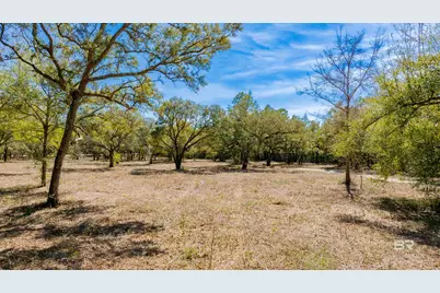 00 County Road 99, Lillian, AL 36549 - Photo 1