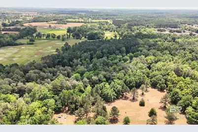 Pearson Lane, Robertsdale, AL 36567 - Photo 9