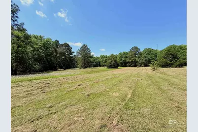 Pearson Lane, Robertsdale, AL 36567 - Photo 3