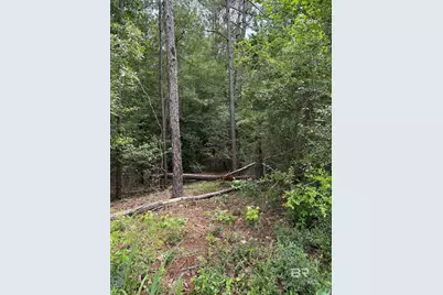 Wilkins Creek Court, Spanish Fort, AL 36527 - Photo 3