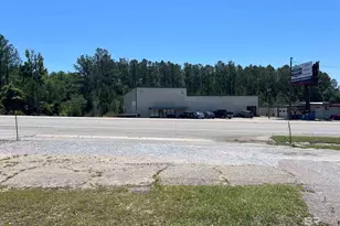22200 Block Hwy 31, Flomaton, AL 36441 - Photo 3