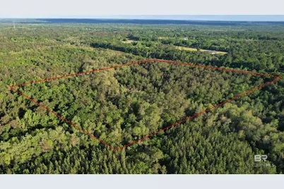 0 Pleasant Hill Road, Century, FL 32535 - Photo 3