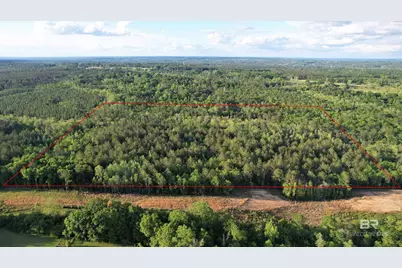 0 Pleasant Hill Road, Century, FL 32535 - Photo 9