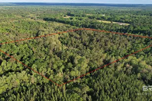 0 Pleasant Hill Rd, Century, FL 32535 - Photo 11