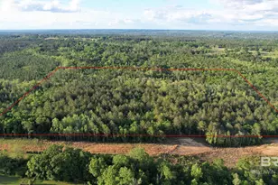 0 Pleasant Hill Rd, Century, FL 32535 - Photo 9