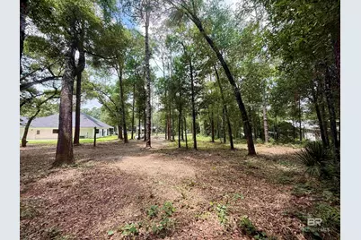 0 Jackson Lane, Foley, AL 36535 - Photo 3