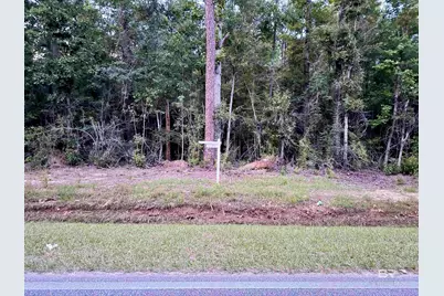 0 Pine Grove Rd Pine Grove Road, Bay Minette, AL 36507 - Photo 13