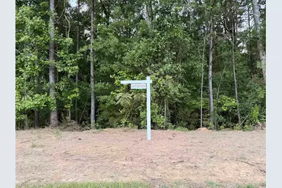 0 Pine Grove Rd Pine Grove Road, Bay Minette, AL 36507 - Photo 11