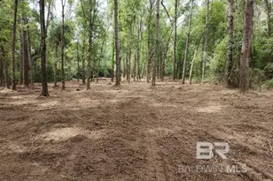 11208 Xanadu Trce, Foley, AL 36535 - Photo 1