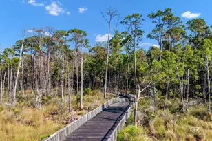 100 Peninsula Blvd, Gulf Shores, AL 36542 - Photo 45