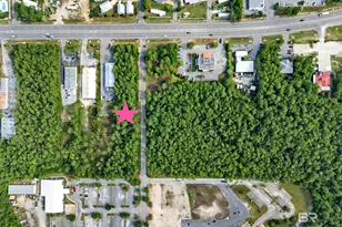 0 Canal Rd, Orange Beach, AL 36561 - Photo 19