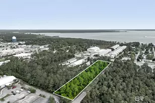 0 Canal Rd, Orange Beach, AL 36561 - Photo 3