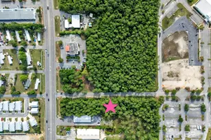 0 Canal Rd, Orange Beach, AL 36561 - Photo 21