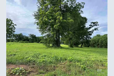 0 Grelot Road, Mobile, AL 36695 - Photo 3