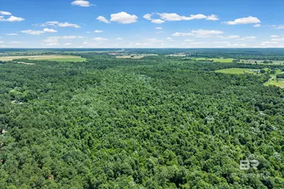 0 Newberry Lane, Foley, AL 36535 - Photo 9