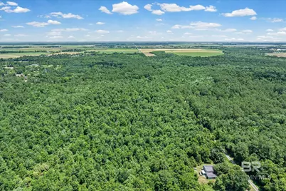 0 Newberry Lane, Foley, AL 36535 - Photo 3