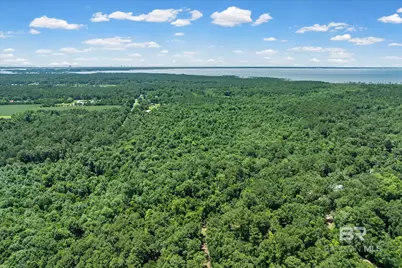 0 Newberry Lane, Foley, AL 36535 - Photo 5