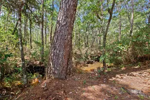 751 Bear Creek Cove, Gulf Shores, AL 36542 - Photo 85