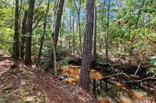 751 Bear Creek Cove, Gulf Shores, AL 36542 - Photo 87